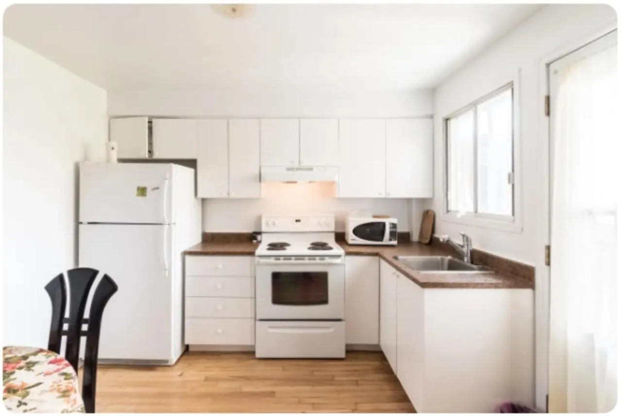 Spacious Apartment Near Olympic Stadium, Free Street Parking Montreal