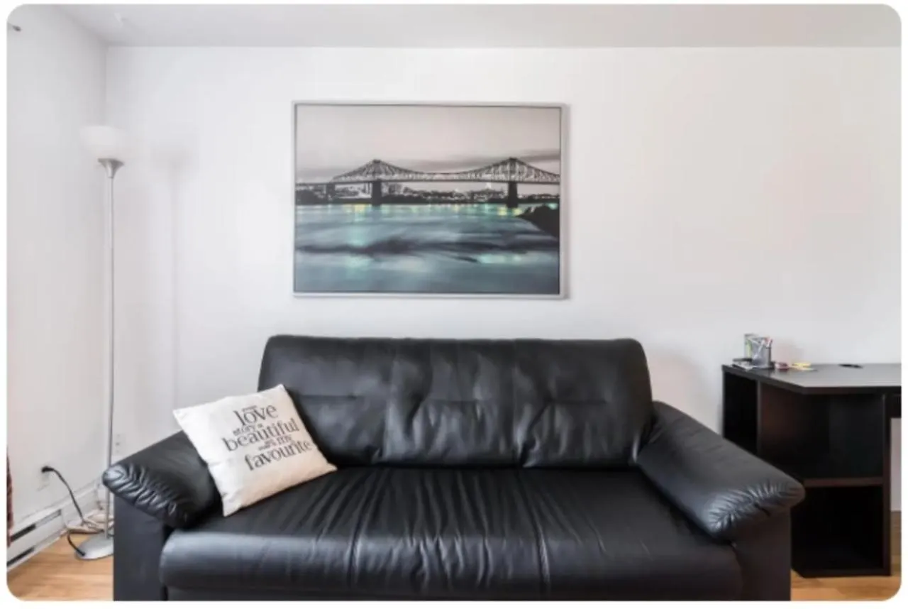 Spacious Apartment Near Olympic Stadium, Free Street Parking Montreal Canada