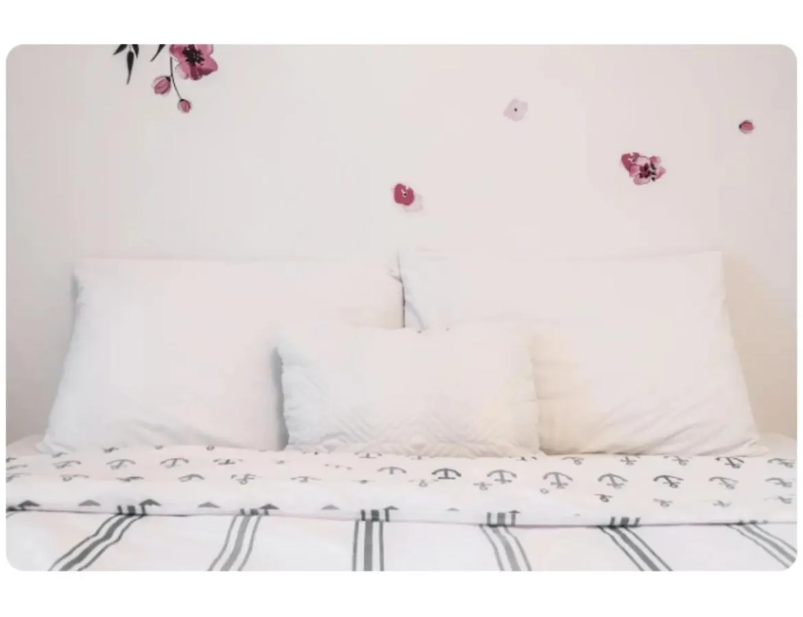 Spacious Apartment Near Olympic Stadium, Free Street Parking Montreal Canada