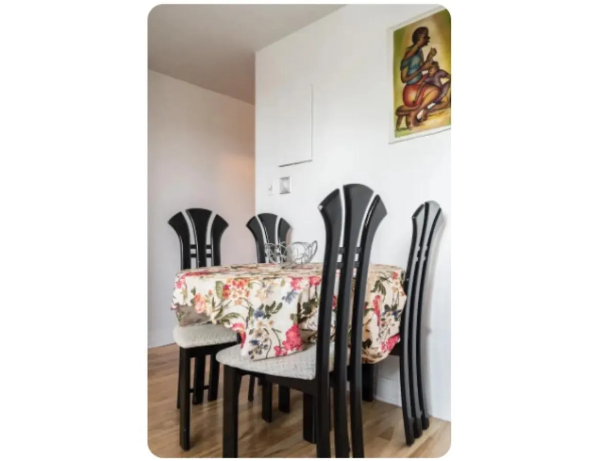 Spacious Apartment Near Olympic Stadium, Free Street Parking Montreal