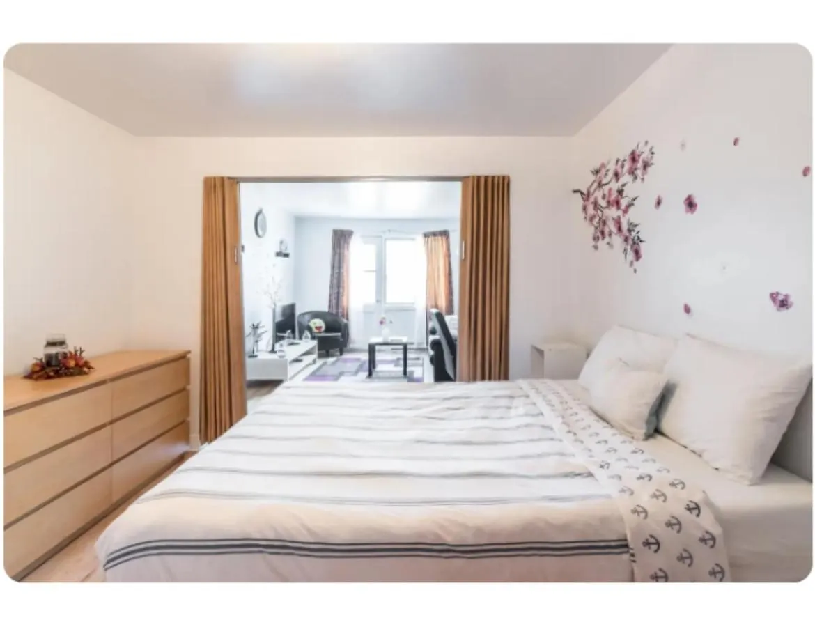 Spacious Apartment Near Olympic Stadium, Free Street Parking Montreal Canada