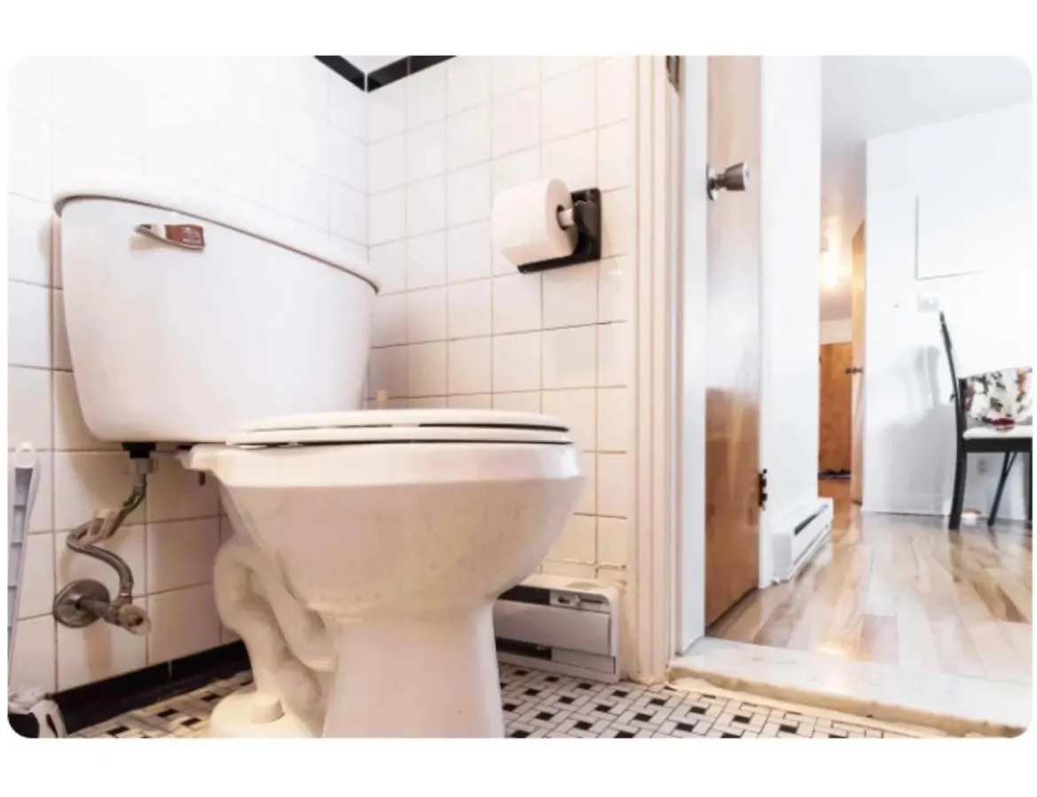 Spacious Apartment Near Olympic Stadium, Free Street Parking Montreal